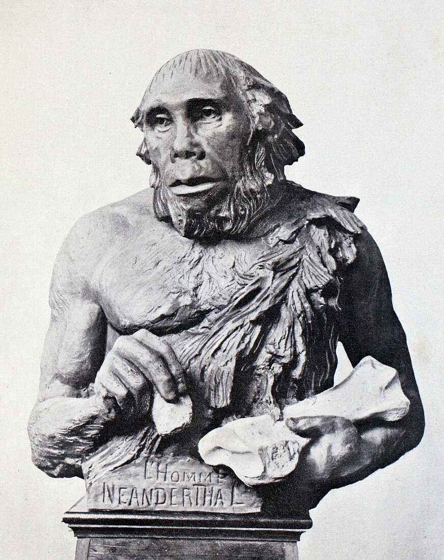 1916 First 3D Neanderthal reconstruction
