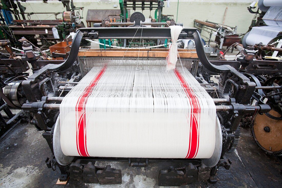 Weaving cotton cloth in the Weaving shed