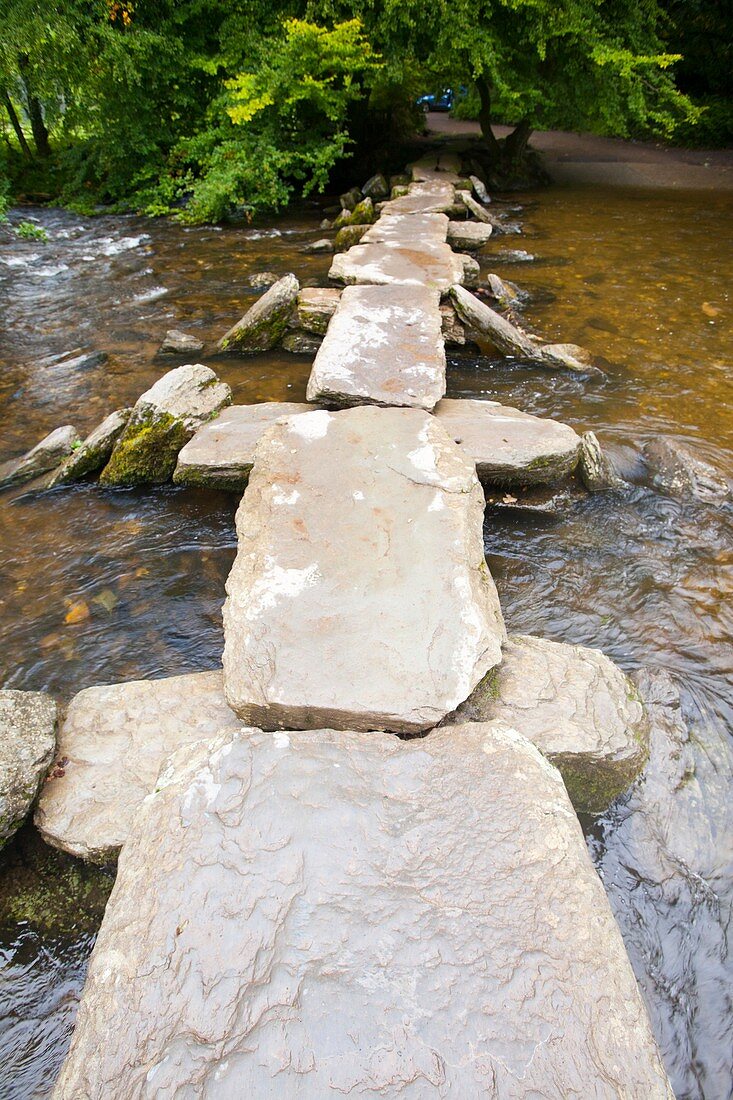 Tarr Steps an ancient river crossing