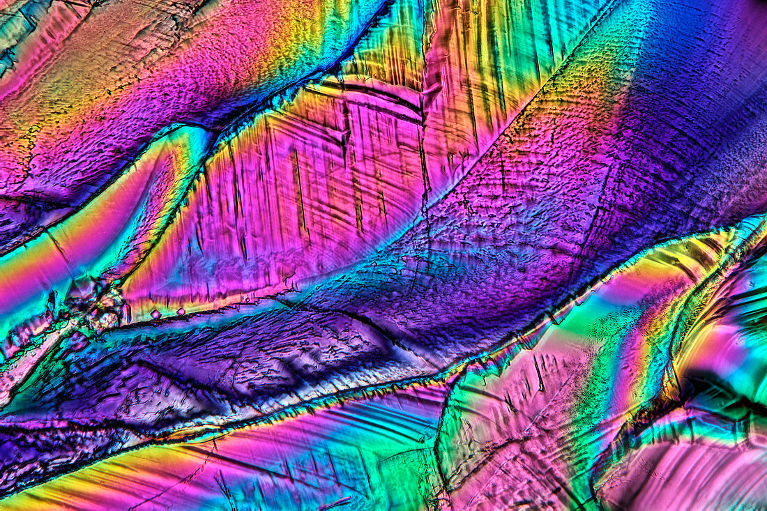 Citric acid crystals,light micrograph