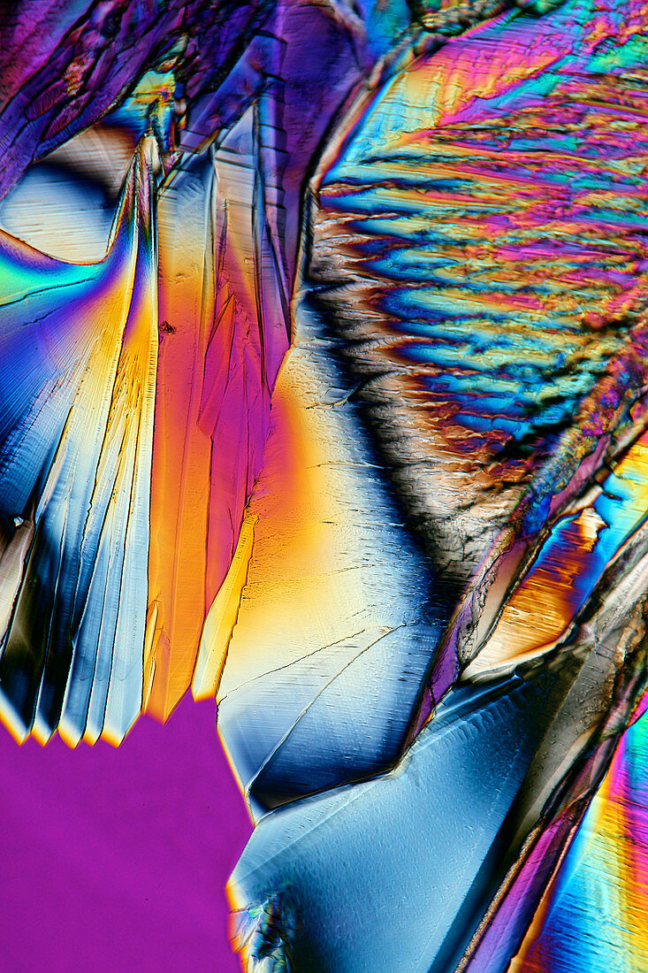 Citric acid crystals,light micrograph