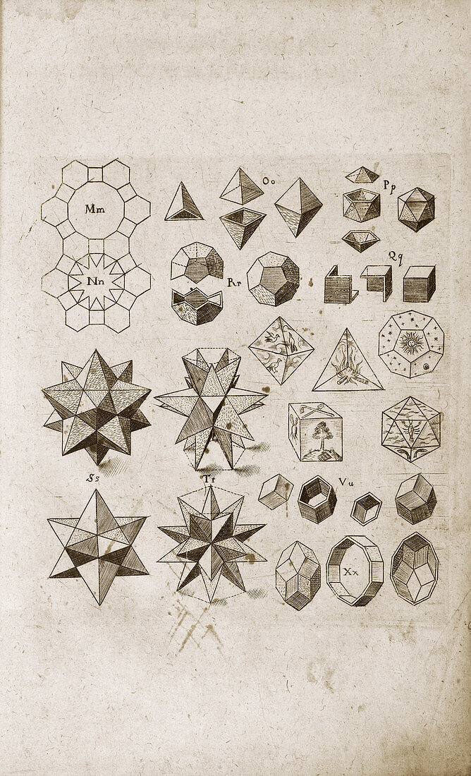 Kepler on polyhedral geometry,1619