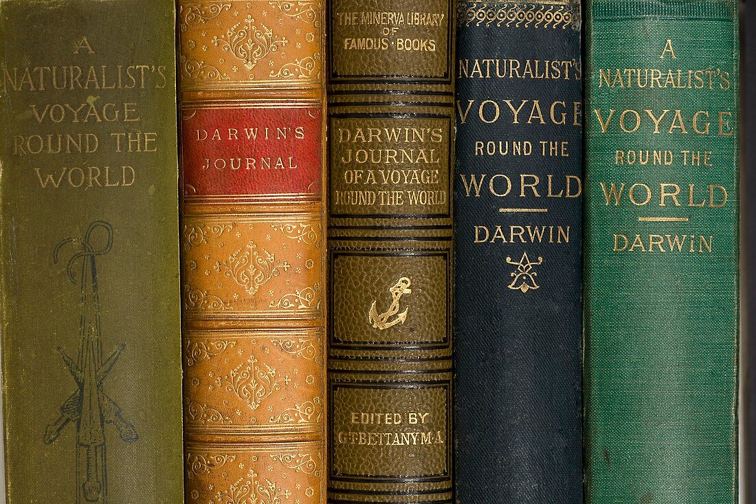 Darwin Voyages of the Beagle book covers