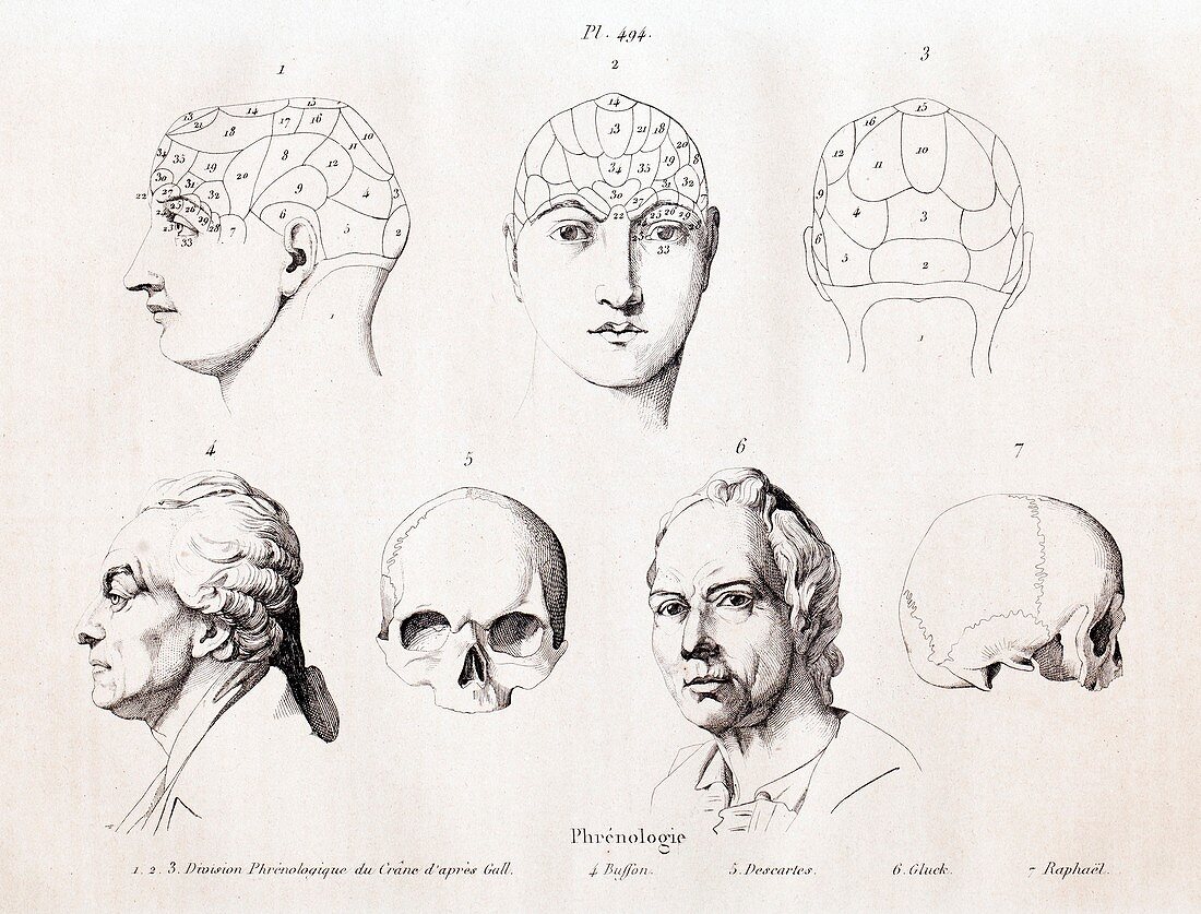 1838 Phrenology of famous heads