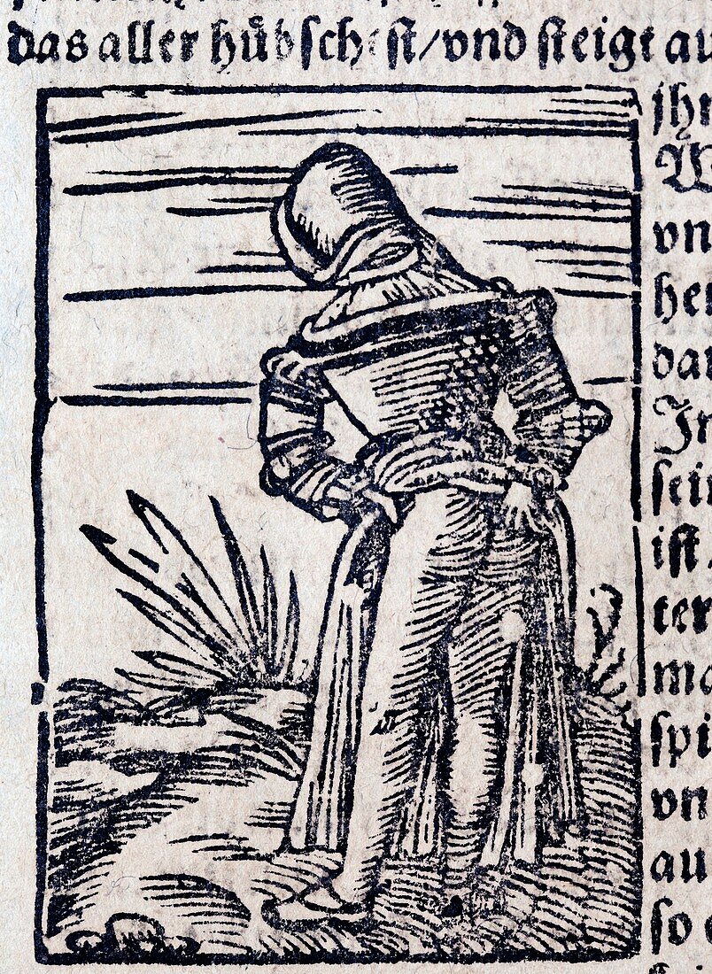 1560 medieval woodcut maiden defecating