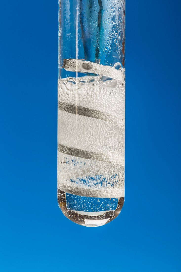 Magnesium ribbon in ethanoic acid