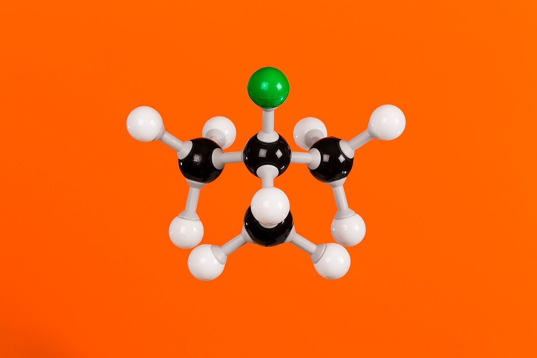 2-chloro-2-methylpropane,molecular model