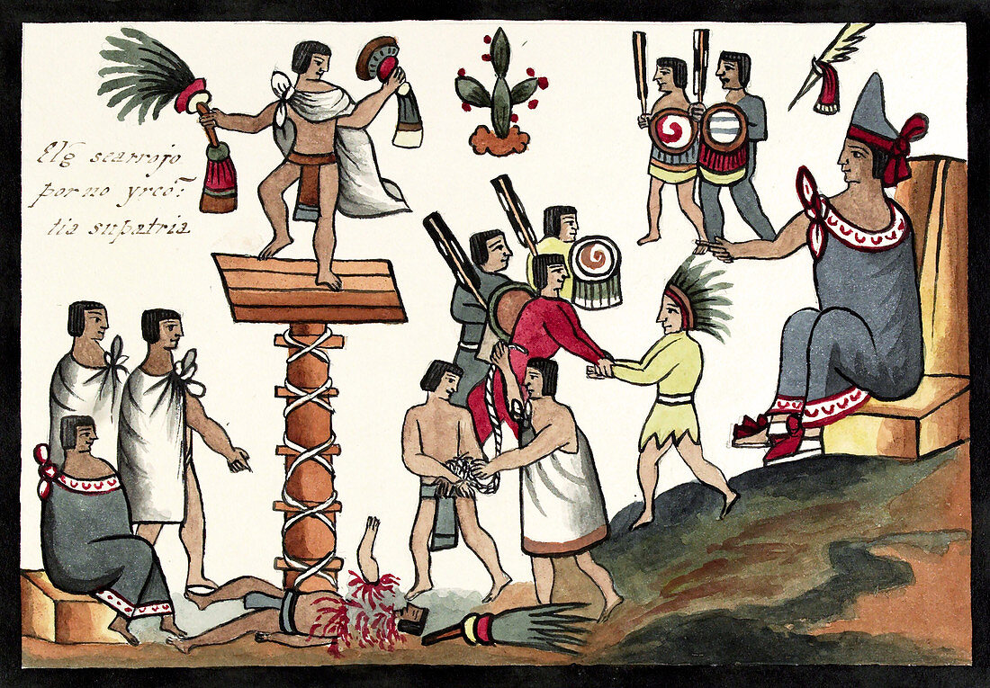 Sacrifice of an Aztec noble,15th century