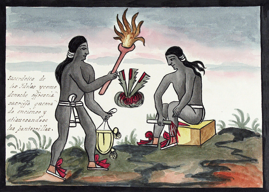 Aztec blood sacrifices,16th century