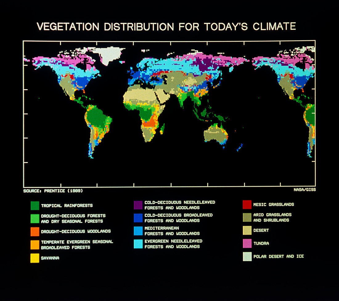 Computer map of World vegetation current climate