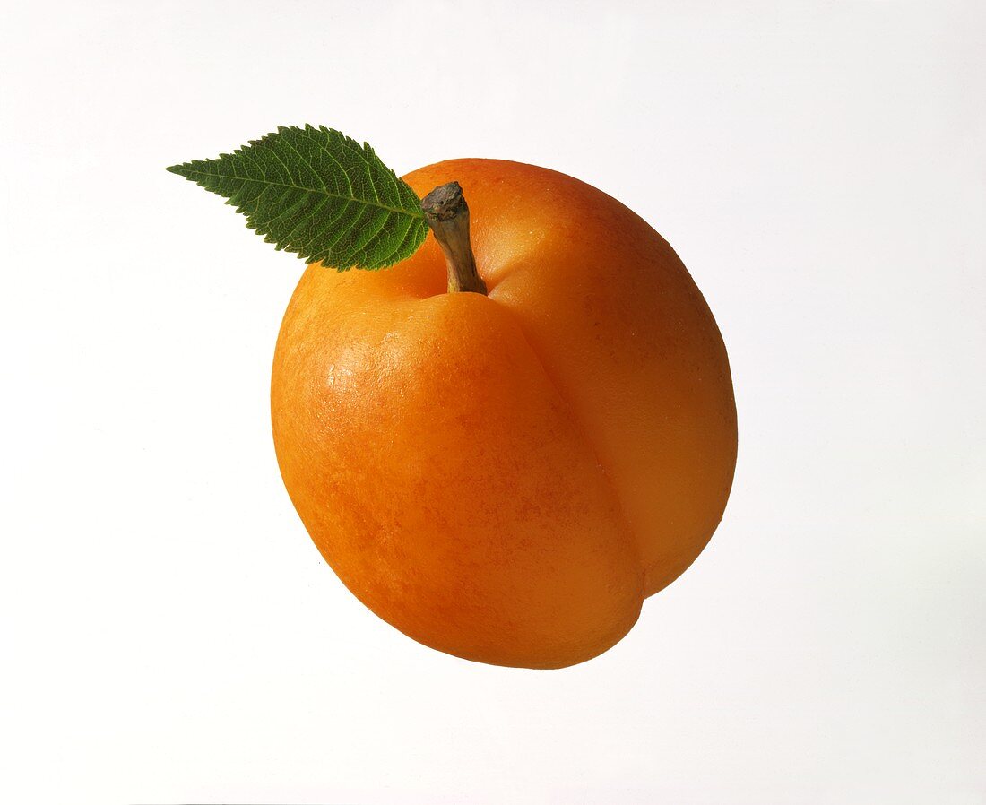 Apricot with Stem