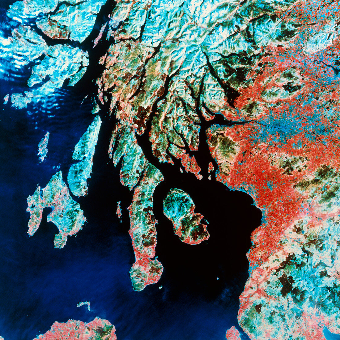 Landsat image of Glasgow and Firth of Clyde