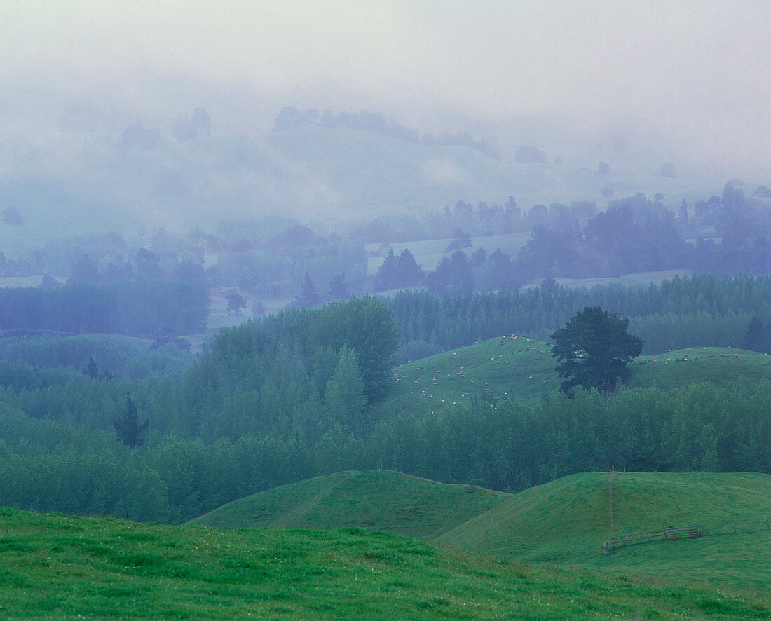 Rain and mist over a landscape of rolling hills