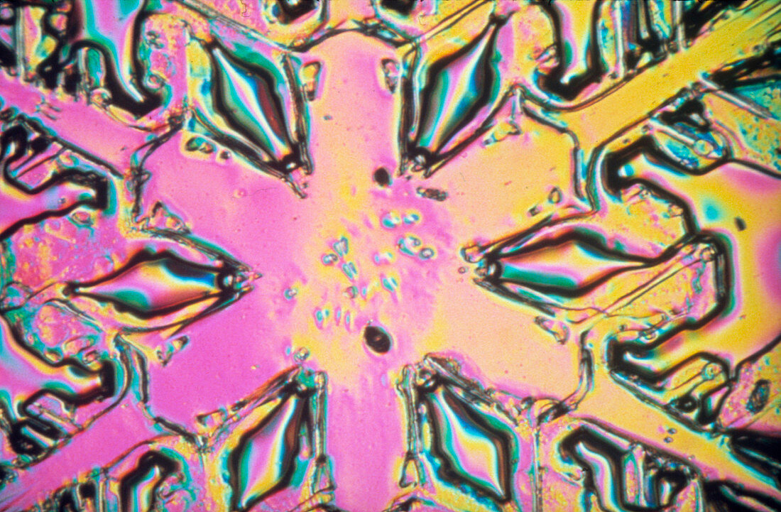 Polarised LM of a resin cast of a snowflake