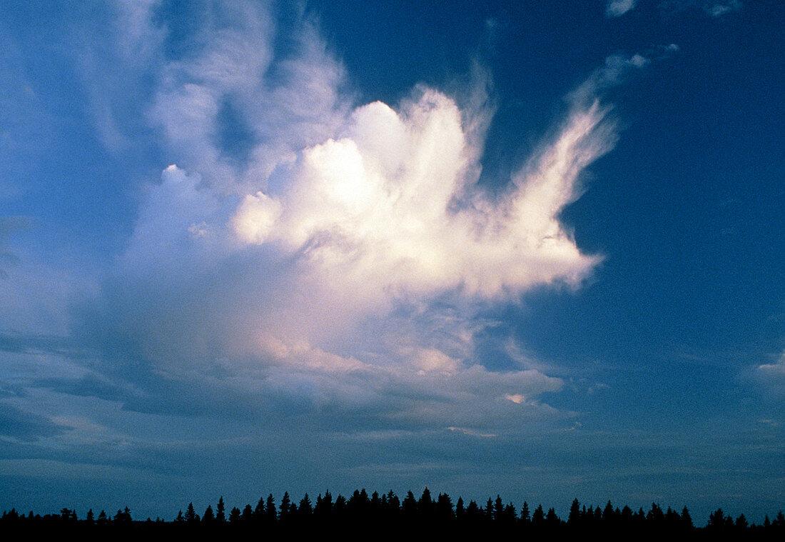 Cumulus cloud with stratus clouds