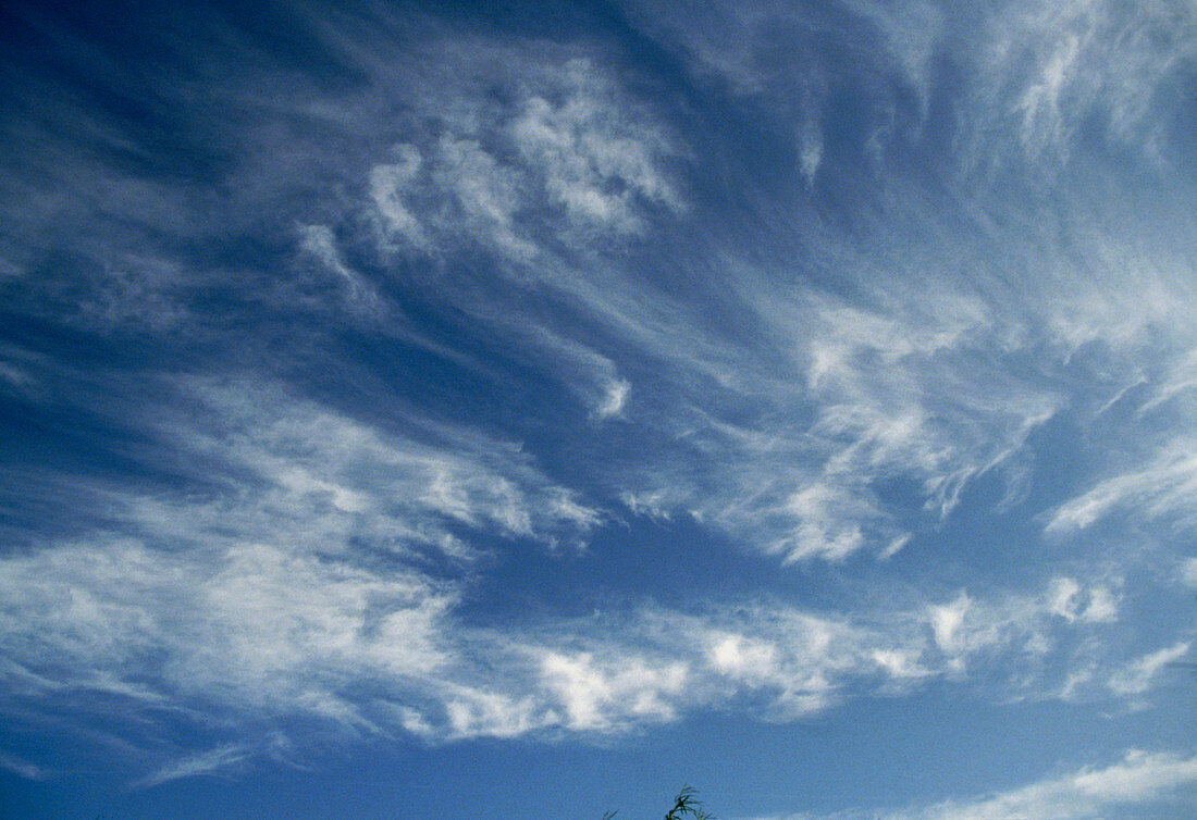 Cirrus clouds in a blue sky