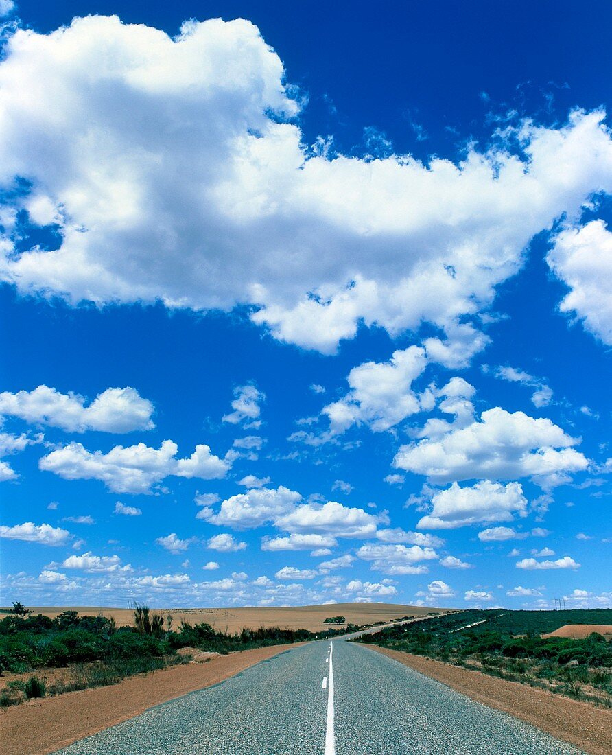 Cumulus clouds over a desert road