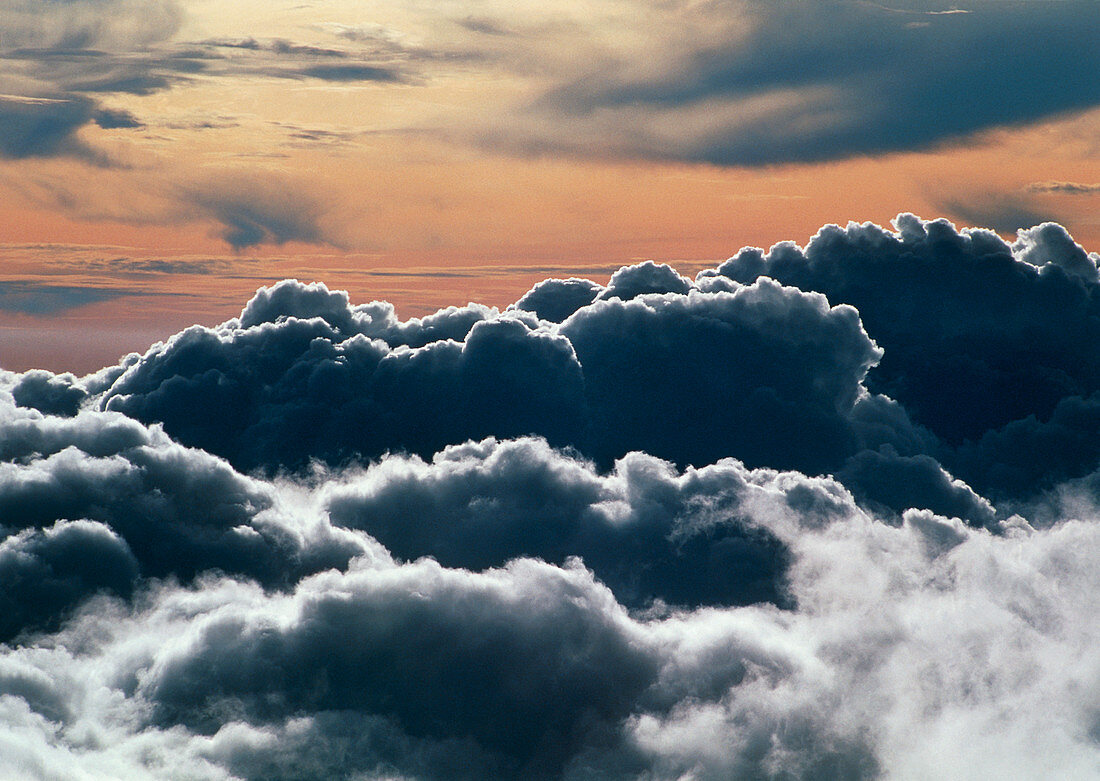 Cumulus cloud tops from Haleakala volcano
