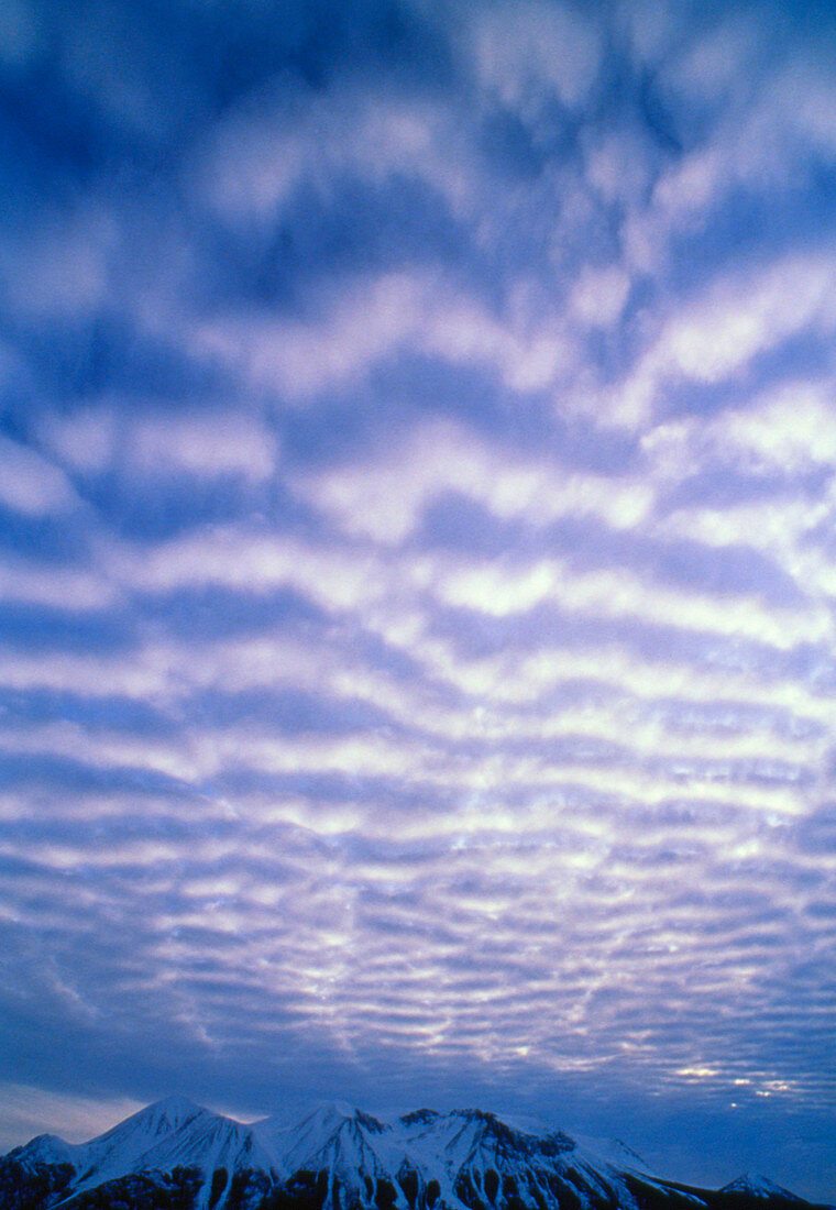 Altocumulus clouds