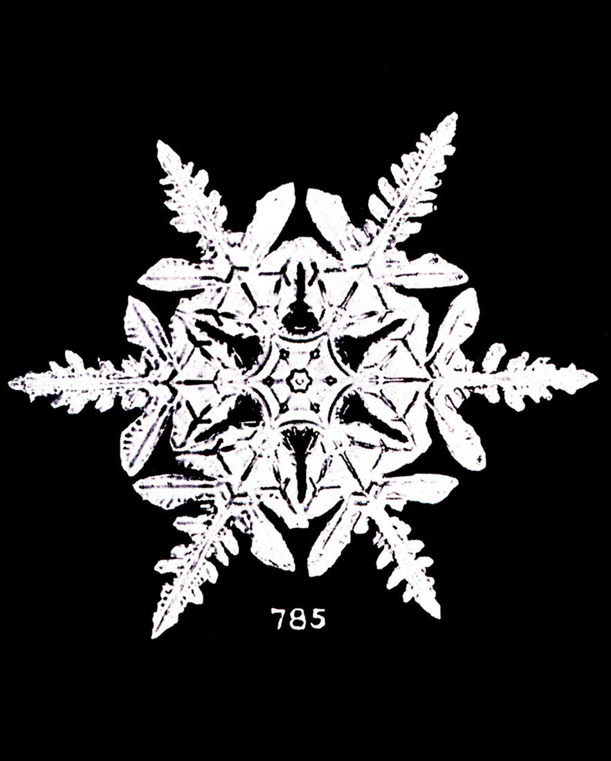 Snowflake,historical image
