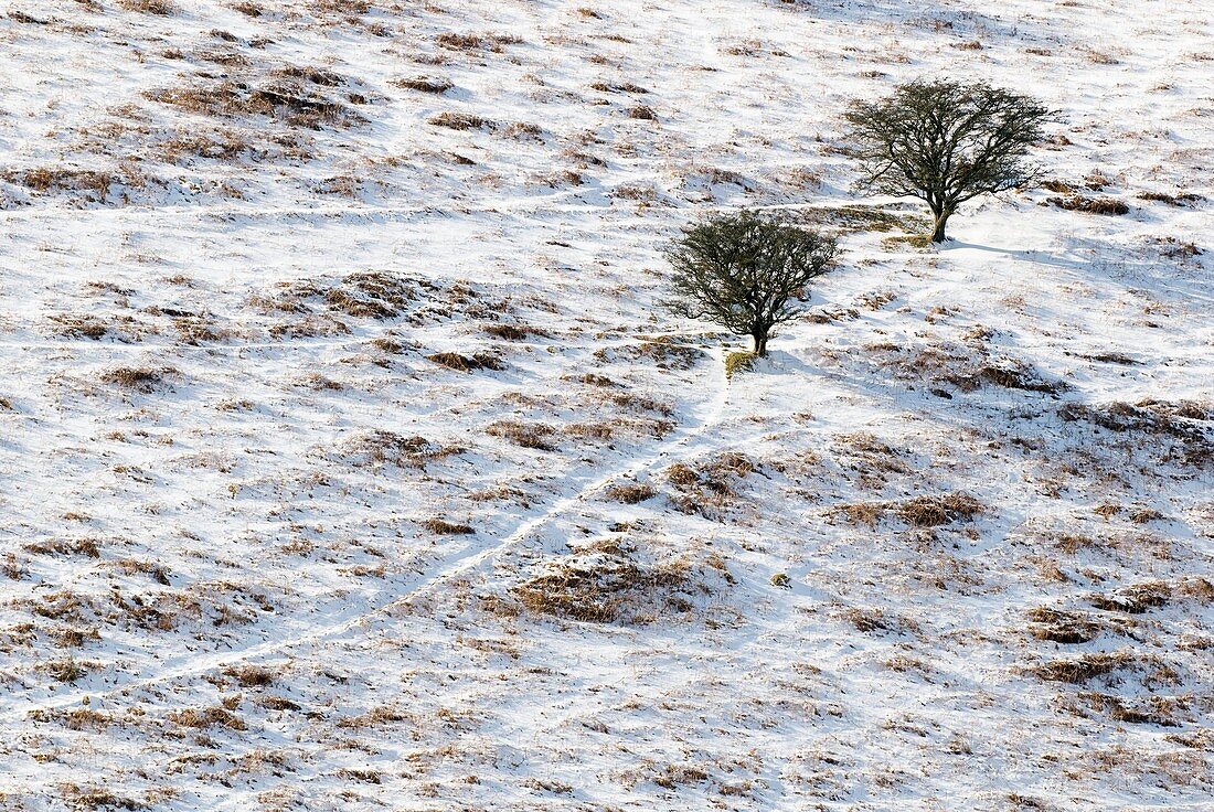 Snow on moorland