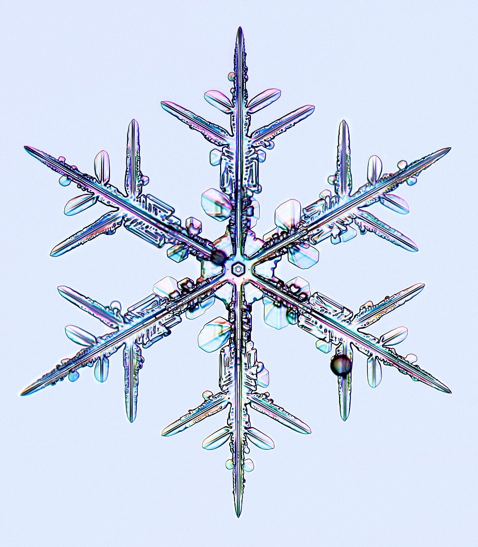 Snowflake,light micrograph