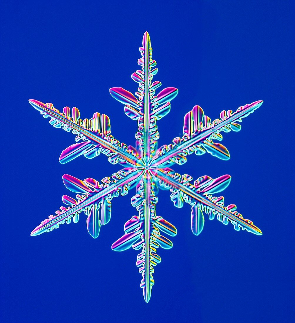 Snowflake,light micrograph