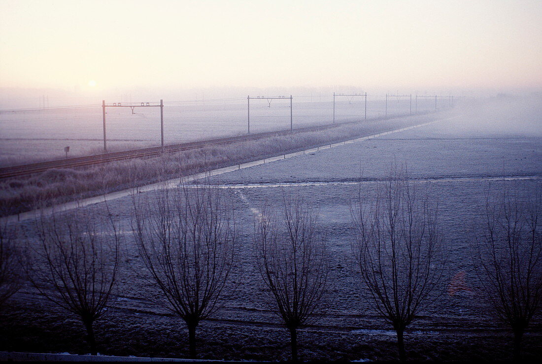 Frosty landscape