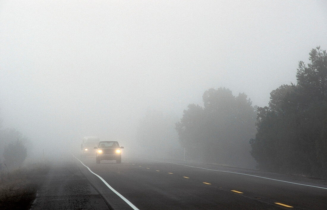 Cars driving through fog