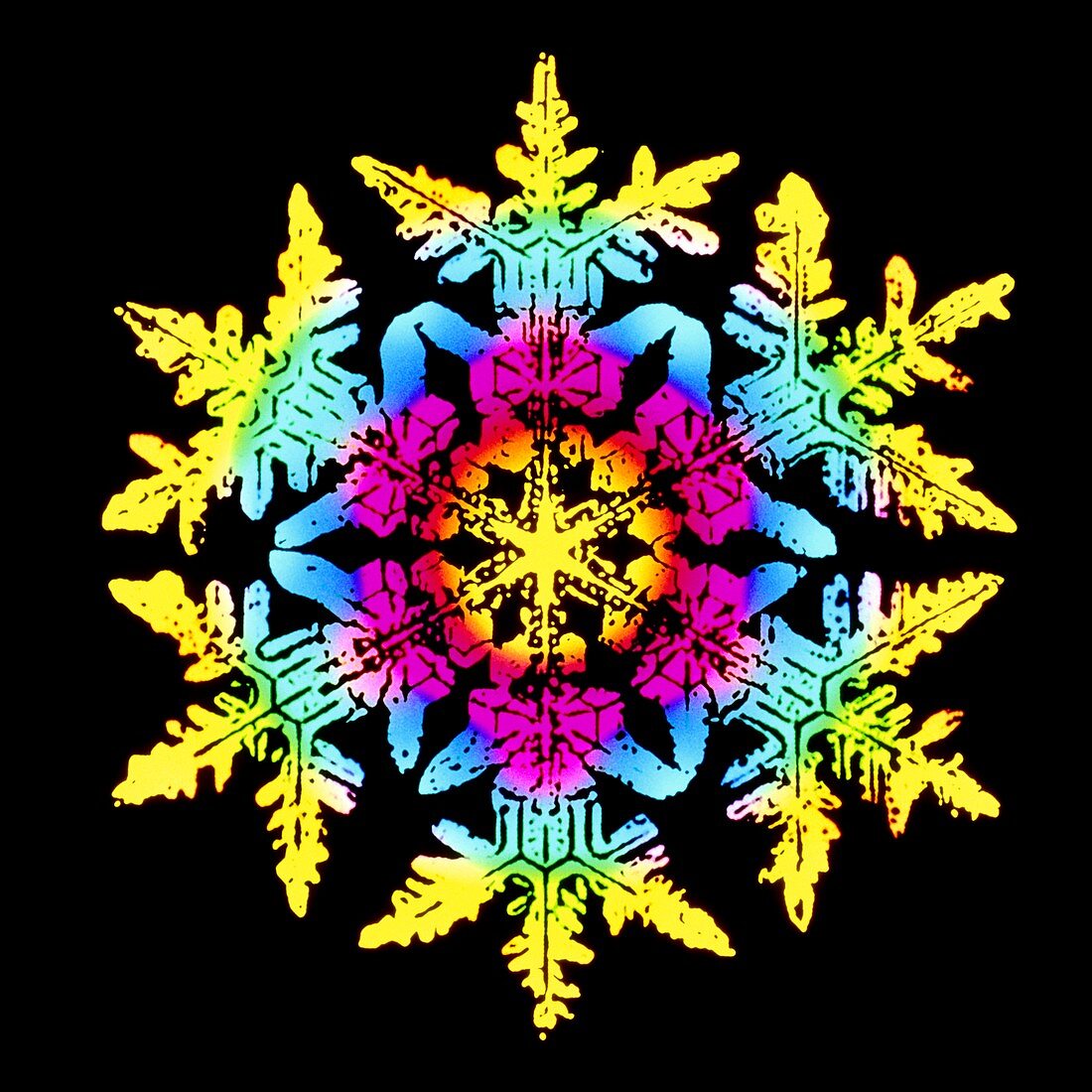 Coloured computer-enhanced image of a sno