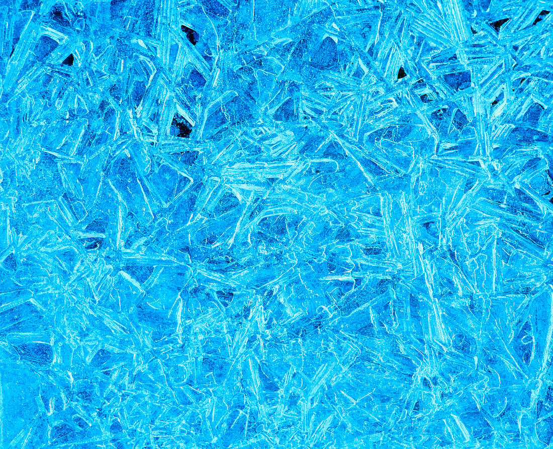 Elongated,interlocking ice crystals