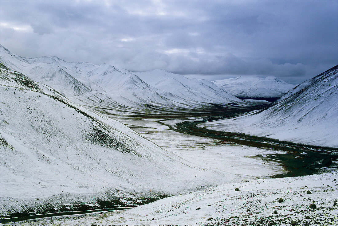 Snow-covered landscape