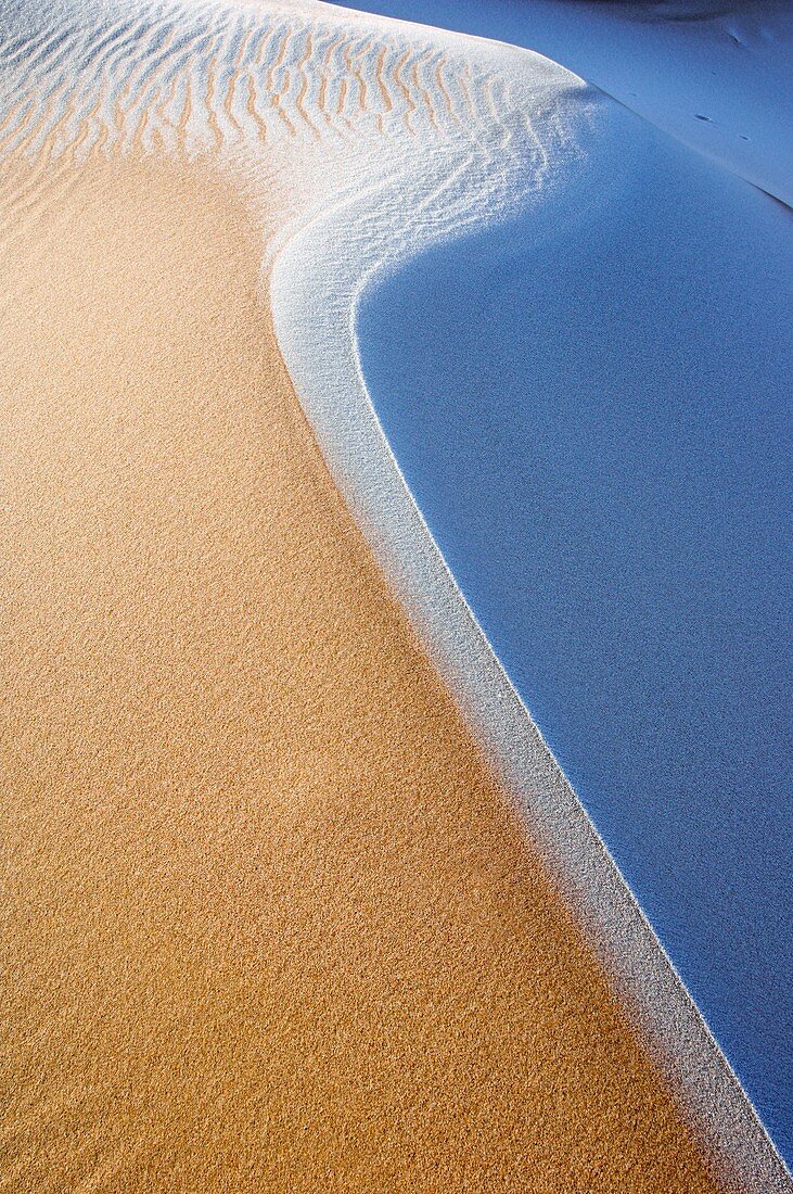 Frost covered sand dunes