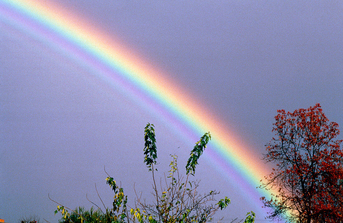 Rainbow photographed in Southern California