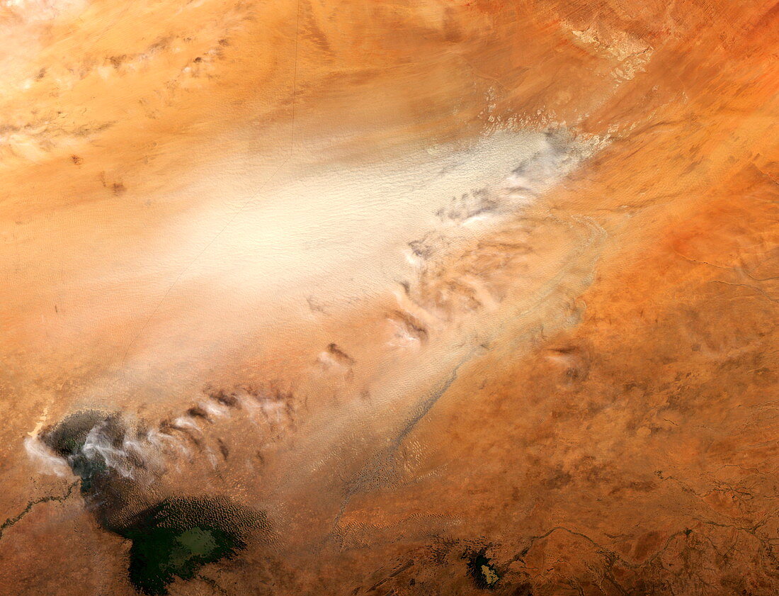 Dust storm,Chad,satellite image