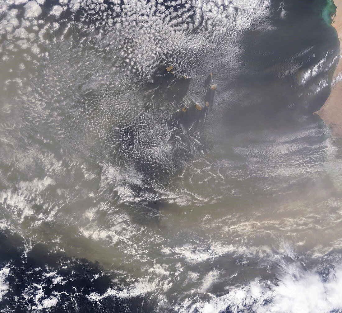 Saharan dust plume off West Africa
