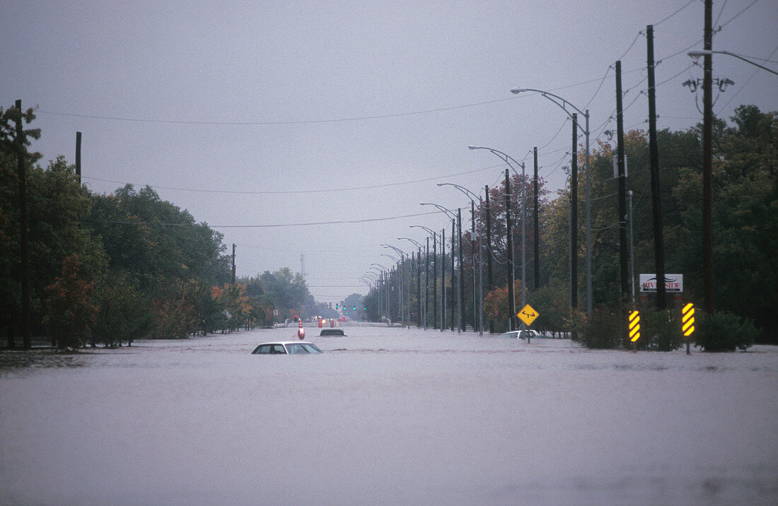 Cars on a flooded road