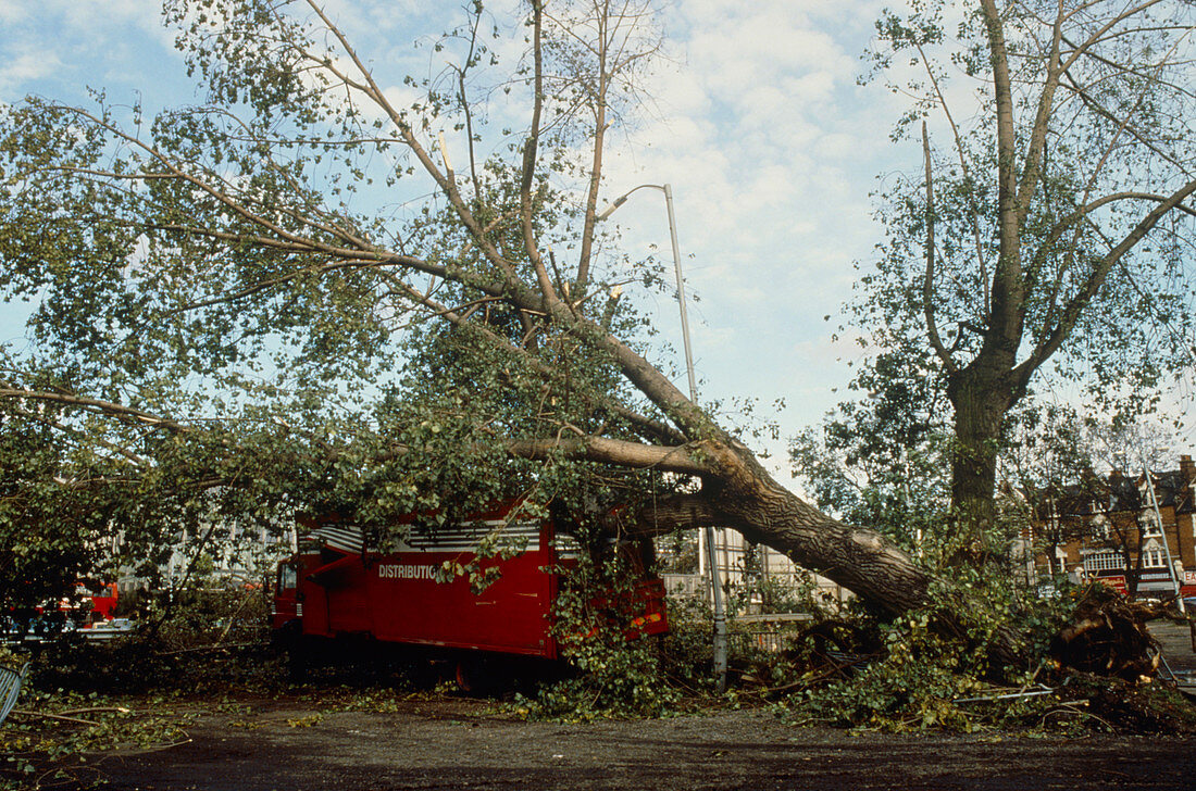 Damage after hurricane winds 1987