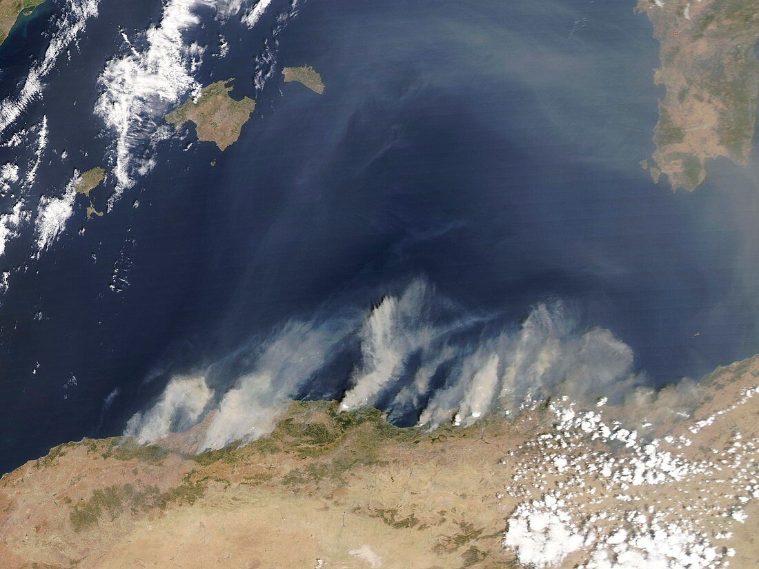 Forest fires,Algeria,August 2007