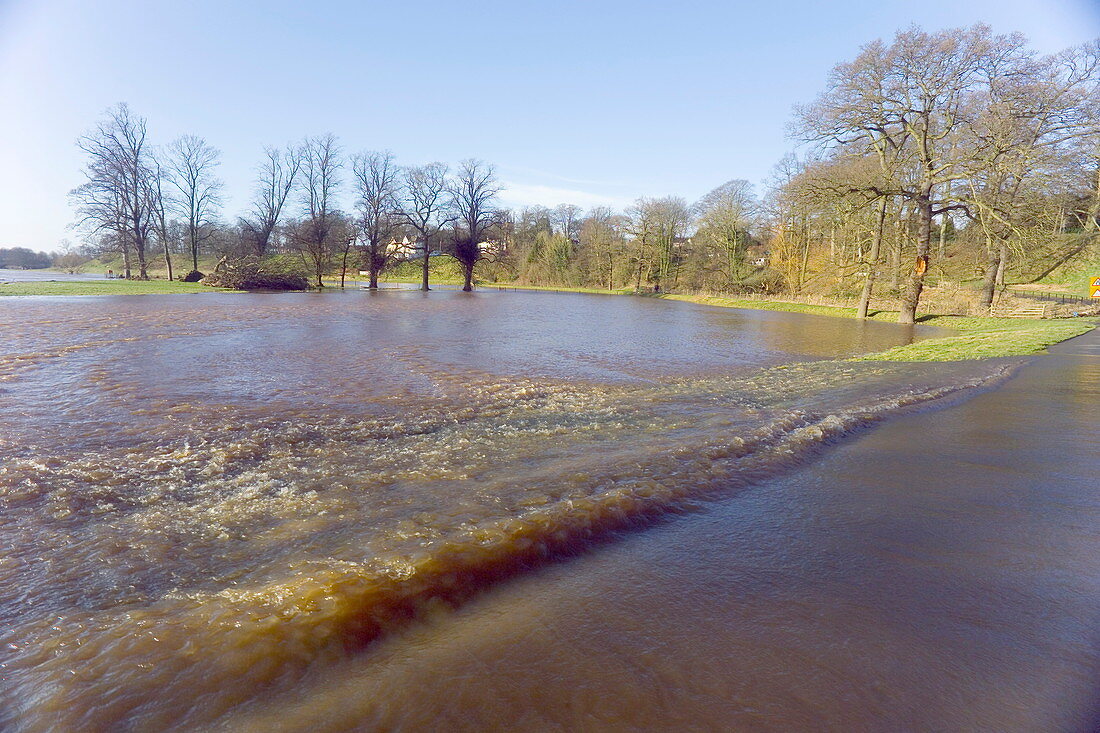 Flooded parkland,Carlisle