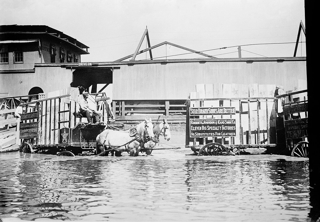 Flooding on the Mississippi River,1909