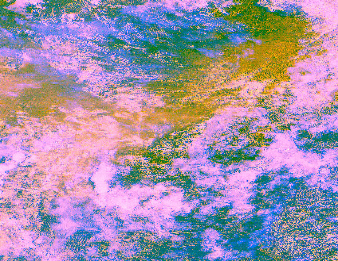 Satellite image of Brazilian forest fire,1998