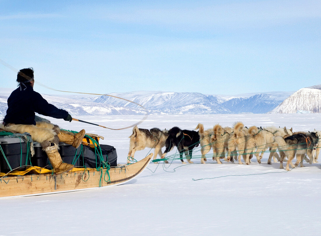 Dog sled,Qaanaaq,Greenland