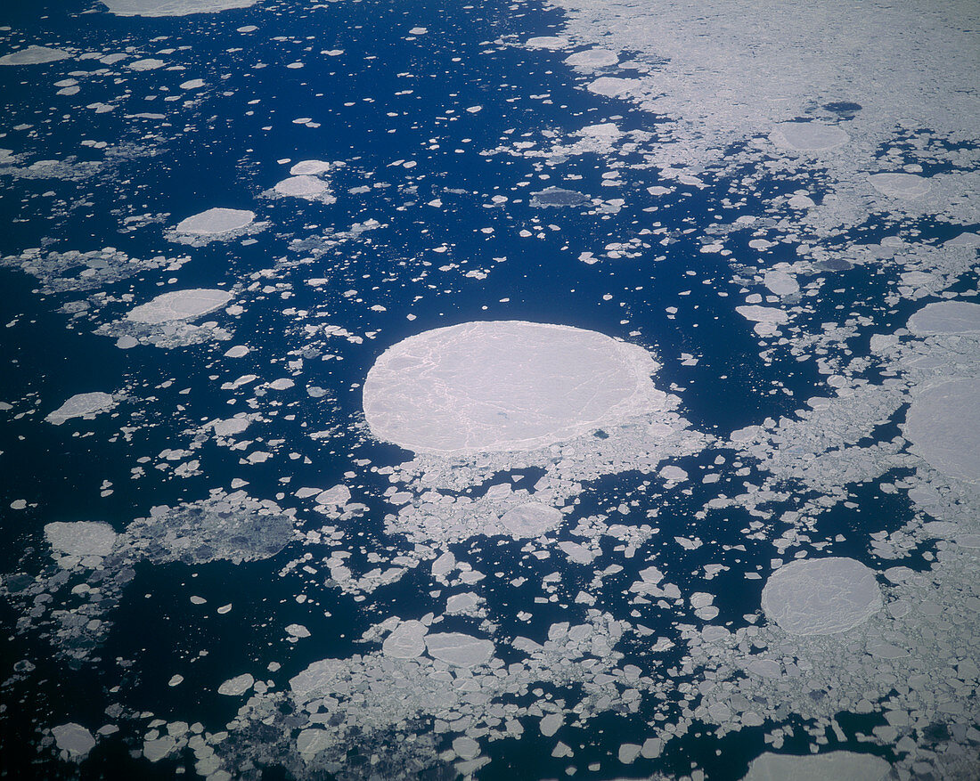 Aerial view of sea ice off Greenland
