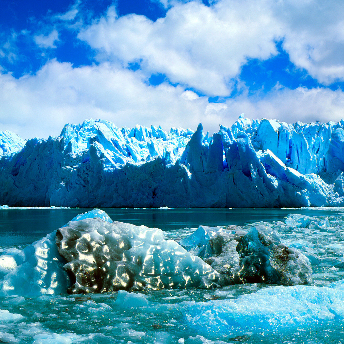 Dirty icebergby Ilulissat greenland