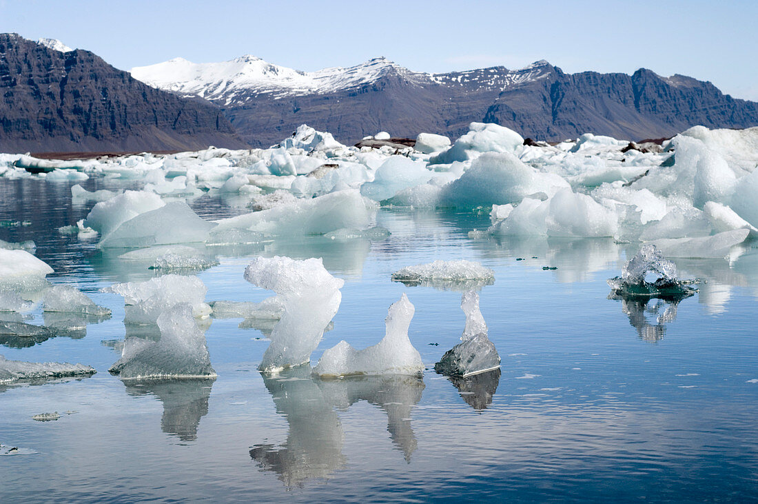 Melting icebergs,Iceland