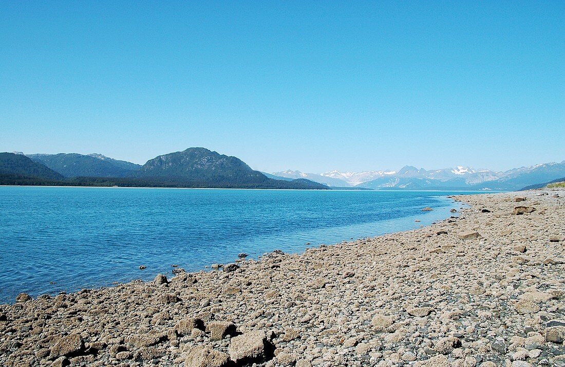 Muir Glacier,Alaska,in 2005