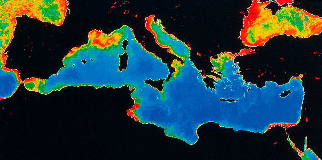 Phytoplankton in the Mediterranean sea