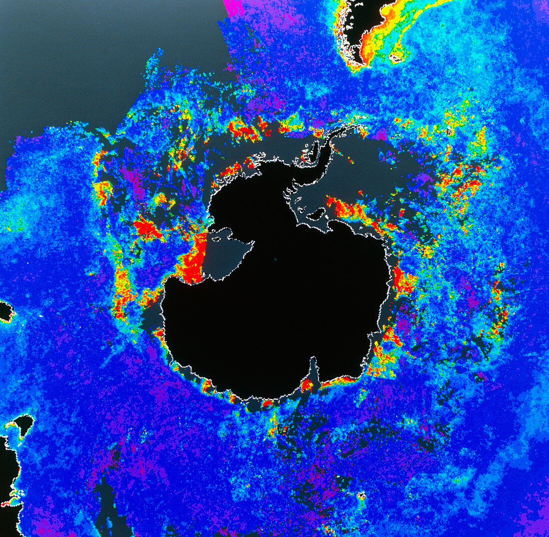 Satellite image of oceans around Antartica