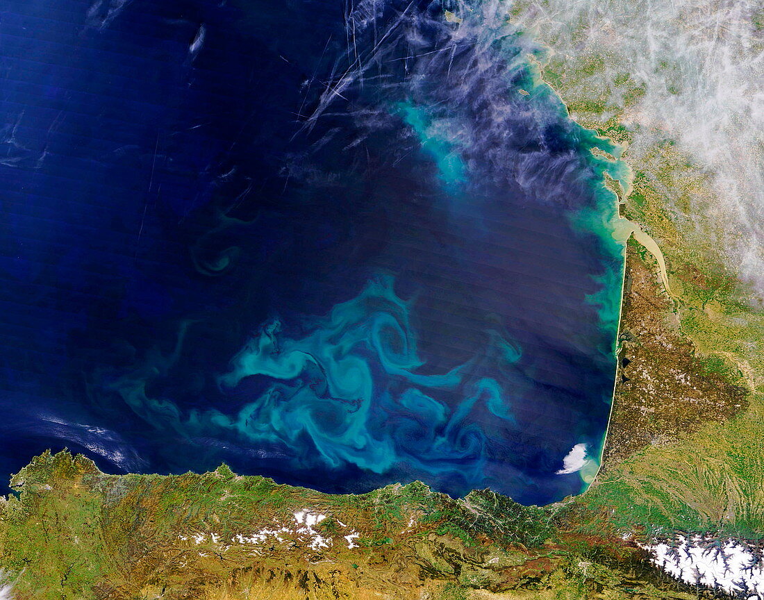 Phytoplankton in the Bay of Biscay